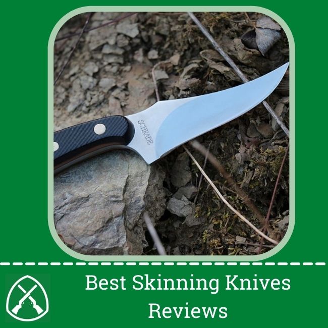 Best Skinning Knives